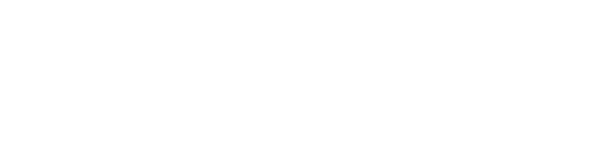 Sky Fibre Internet